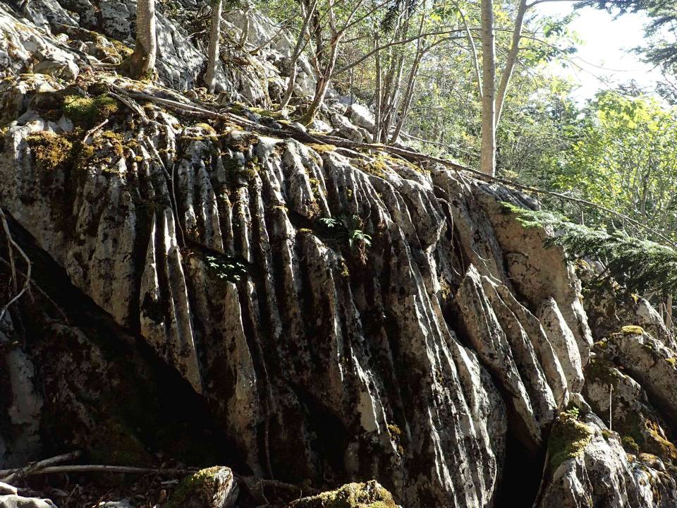 Spéléo sportive sur le massif de la Coume Ouarnède - Henne morte